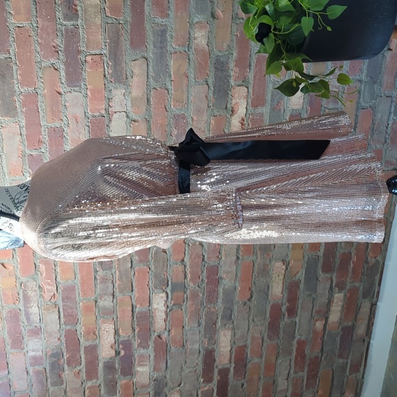 Rose gold sequin dress. - Picture 3 of 6